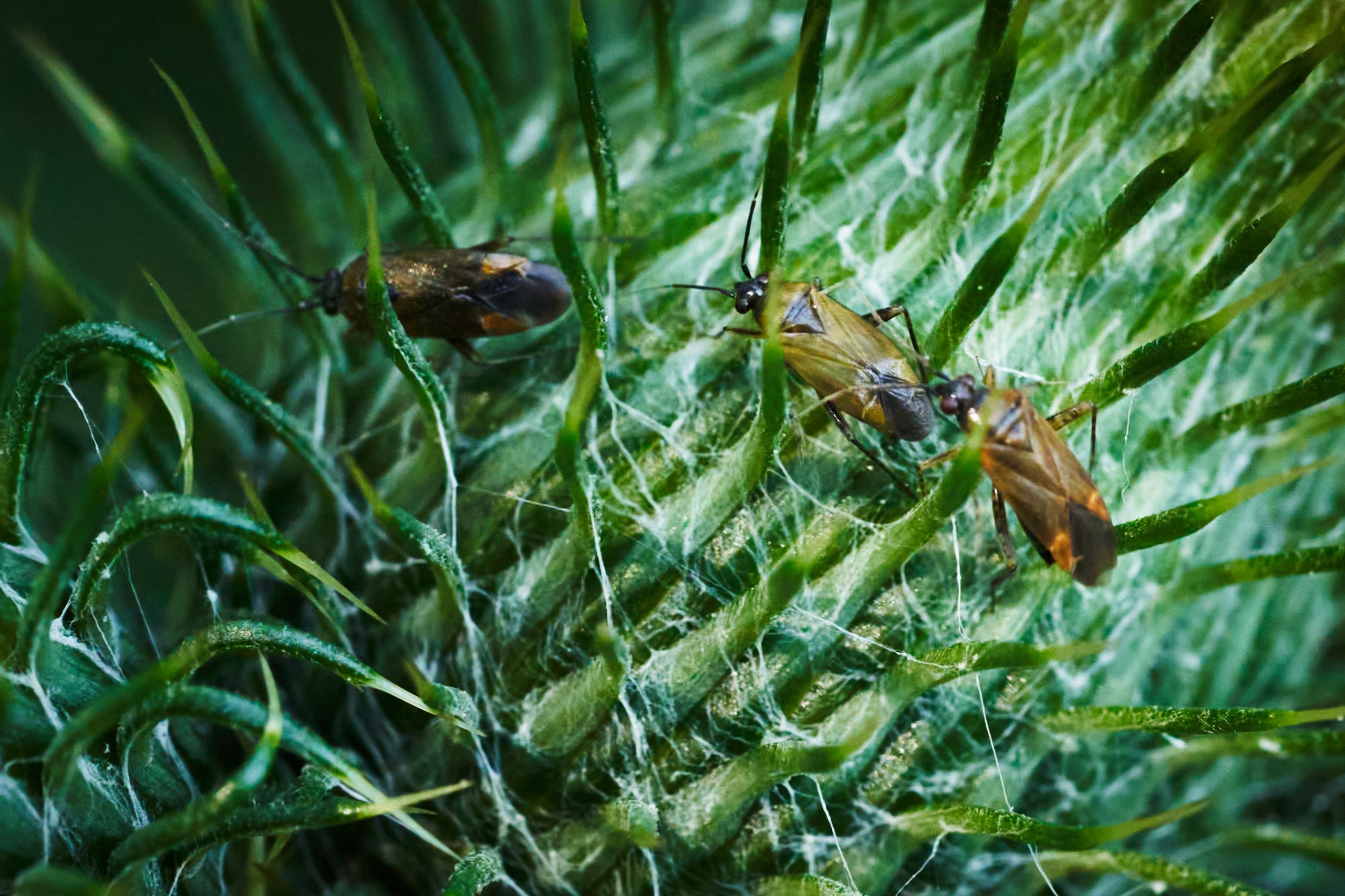 Landschaftspark Nord 0118